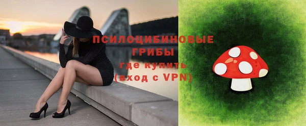 spice Алексеевка