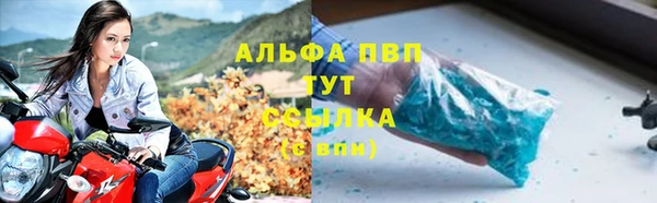 apvp Алексин