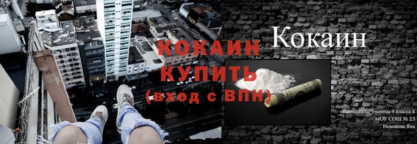 apvp Алексин