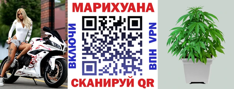 Марихуана сатива  где купить наркотик  Волгодонск 